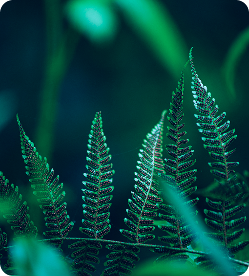 Illustration representing our mission to explore social innovations