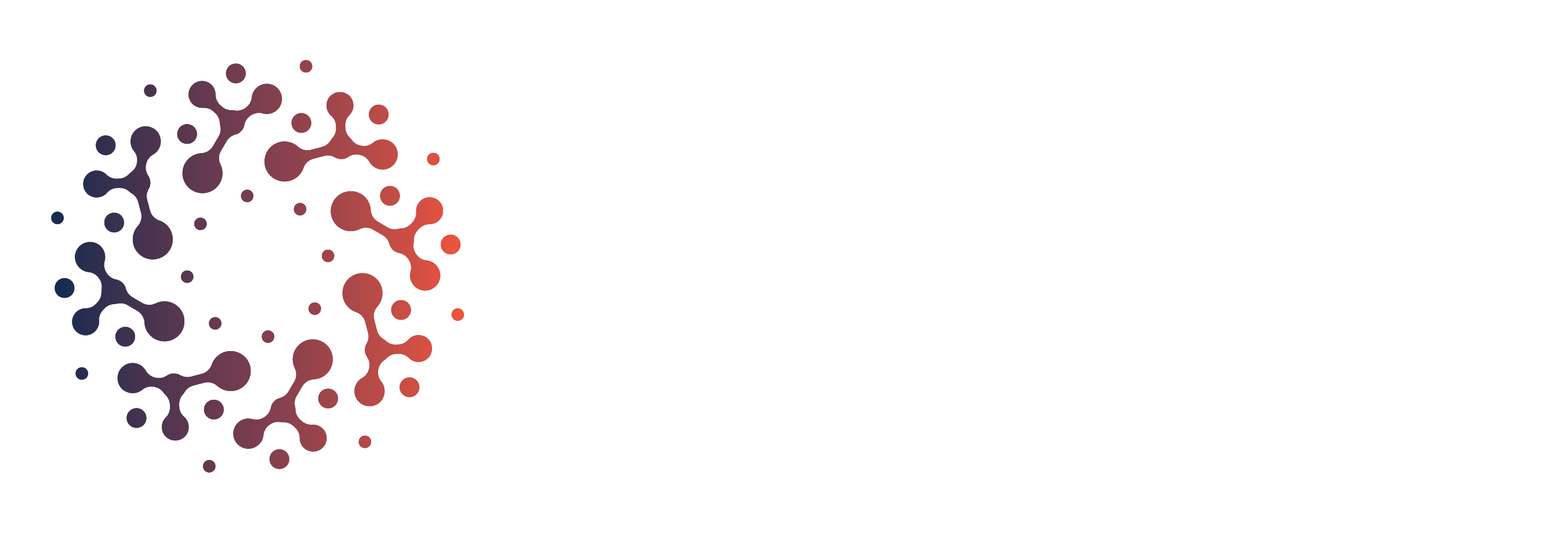 Horizontal white text logo